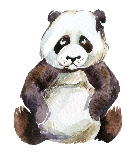 Панда, акварель ізольовані на білому тлі — стокове фото