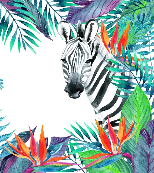 열 대 정글 카드입니다. 흰색 바탕에 얼룩말과 꽃 디자인. — 스톡 사진