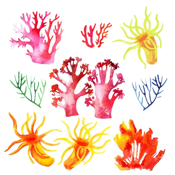 Ilustración de los coloridos arrecifes de coral — Foto de Stock