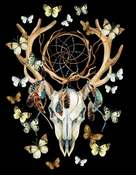 Deer skull. Animal skull with dreamcather and butterfly. — Stock Photo, Image