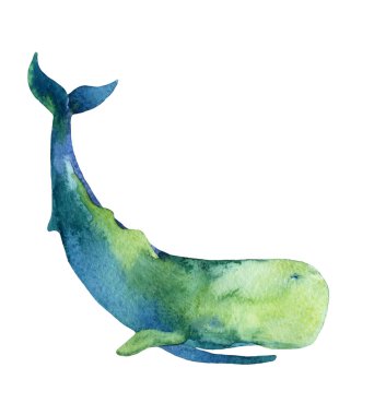 Sperm Balina beyaz arka plan üzerinde izole