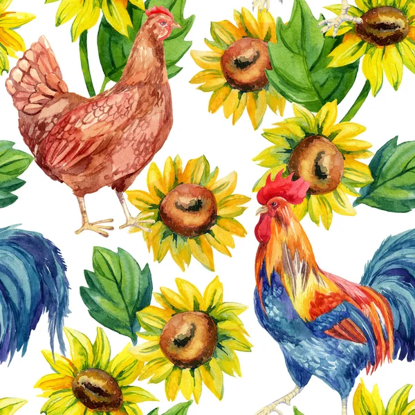 Pollo, gallina, gallo. Pintura acuarela — Foto de Stock