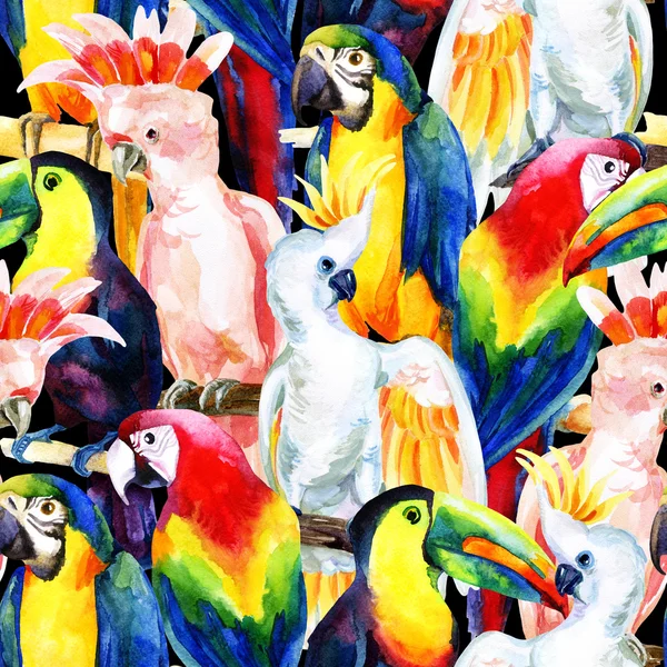 Papugi akwarela bezszwowe wzór — Zdjęcie stockowe