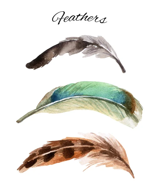 Watercolor feather set — Stock Photo, Image