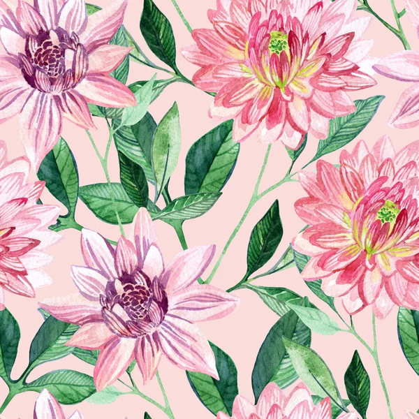 Watercolor aster seamless pattern — Stock Photo, Image