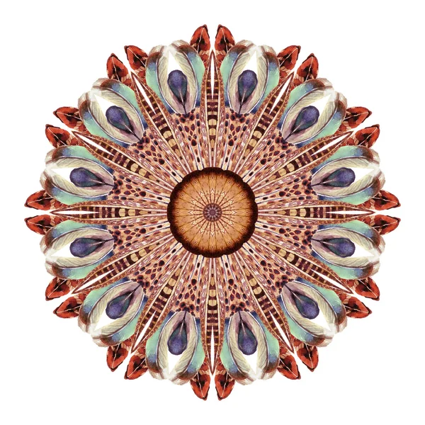 Mandala acuarela abstracta. Patrón circular de plumas aisladas sobre fondo blanco . — Foto de Stock