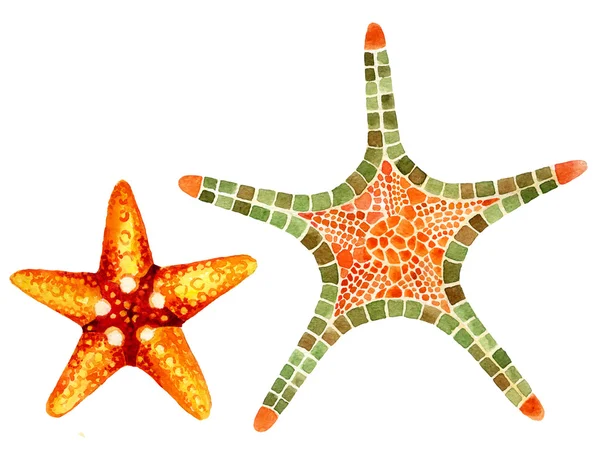 Watercolor starfishes isolated on white — Stock Image Watercolor starfishes isolated on white Royalty Free Stock Photos