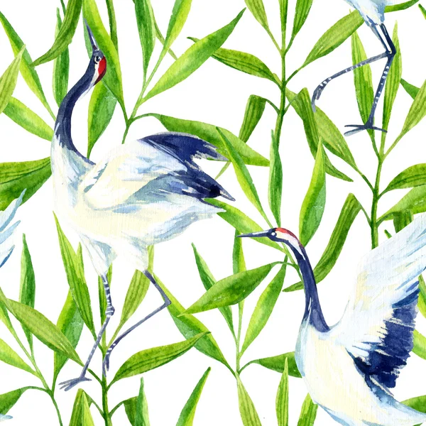 Akvarell asiatisk trana fågel sömlös mönster — Stockfoto