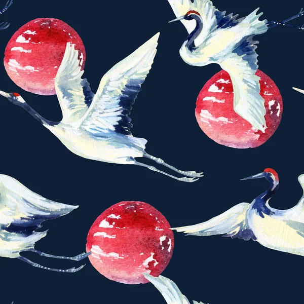 Akvarel asijské jeřáb pták bezešvé vzor — Stock fotografie