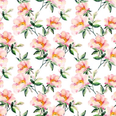 Suluboya briar çiçek seamless modeli. Köpek Rose dalları