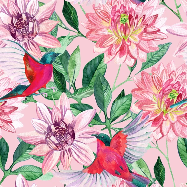 Aquarelle asters et oiseaux motif sans couture — Photo