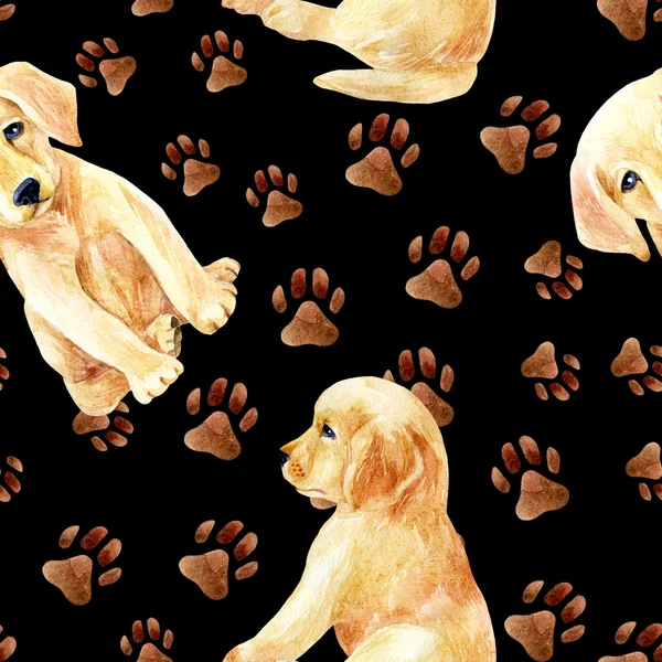 Labrador retriever puppy seamless pola — Stok Foto