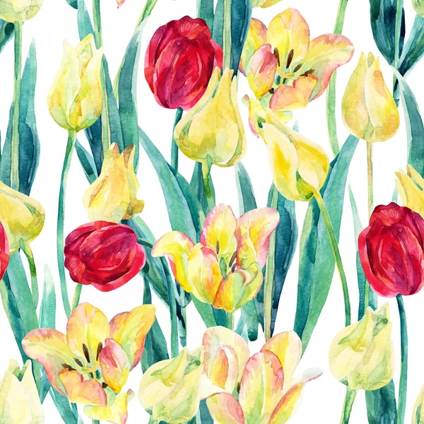 Aquarelle printemps tulipes champ motif sans couture — Photo