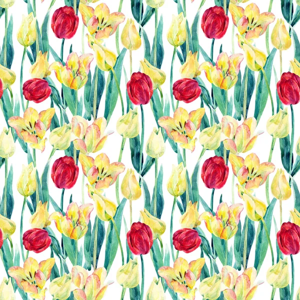 Acuarela primavera tulipanes campo patrón sin costuras — Foto de Stock