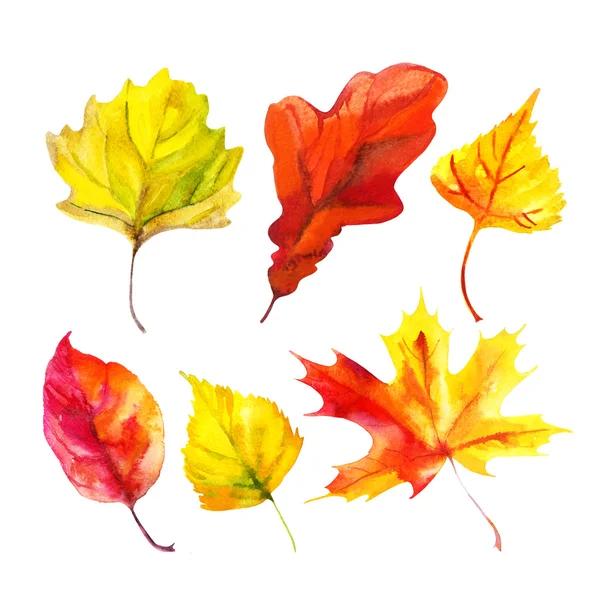 Aquarell Herbst Blatt Set — Stockfoto