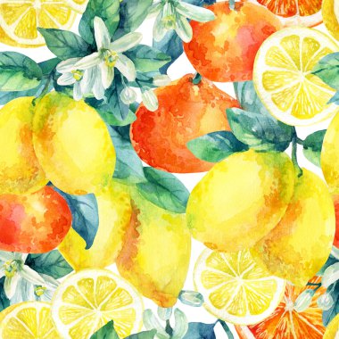 Suluboya mandarine portakal ve limon meyve dalı ile seamless modeli bırakır