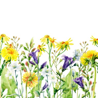 Çayır suluboya çiçek kartı