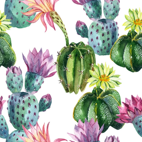 Watercolor seamless cactus pattern — Stock Photo, Image