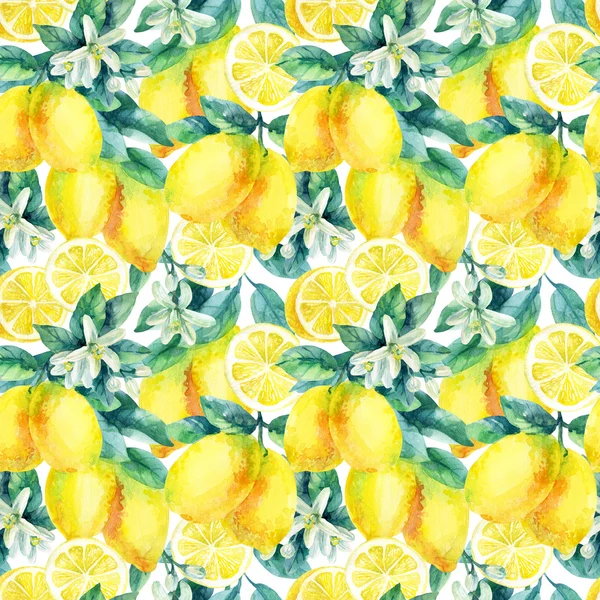 葉のシームレスなパターンを持つ水彩レモン果実の枝 — ストック写真