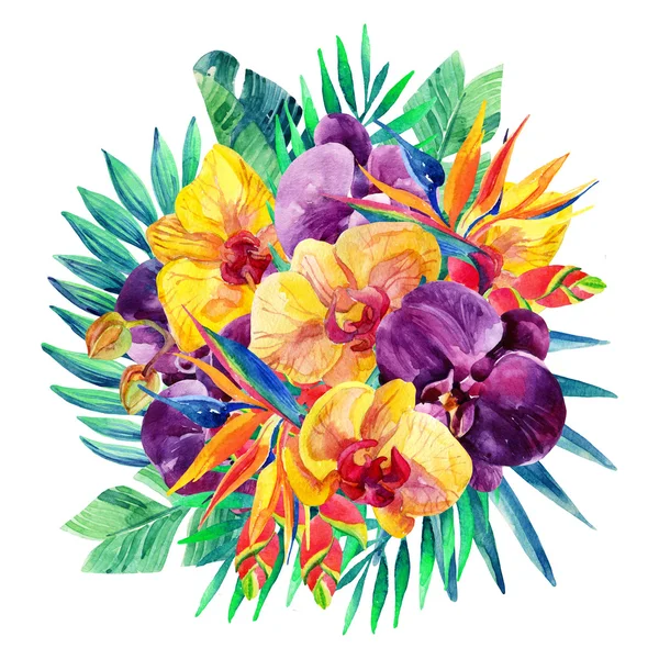 Akwarela, egzotycznych kwiatów układ — Zdjęcie stockowe