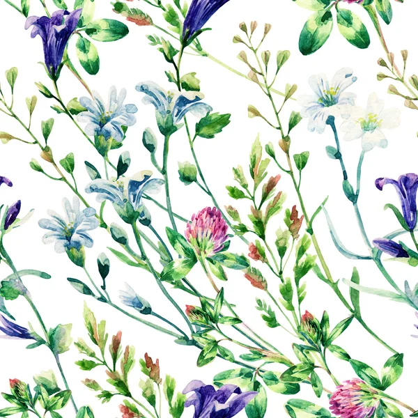 Watercolor wild flowers seamless pattern. — Stockfoto