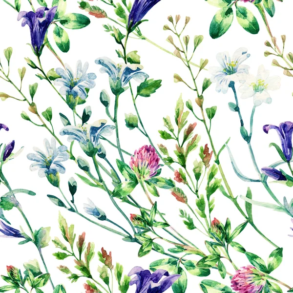 Watercolor wild flowers seamless pattern. — Stock Photo, Image