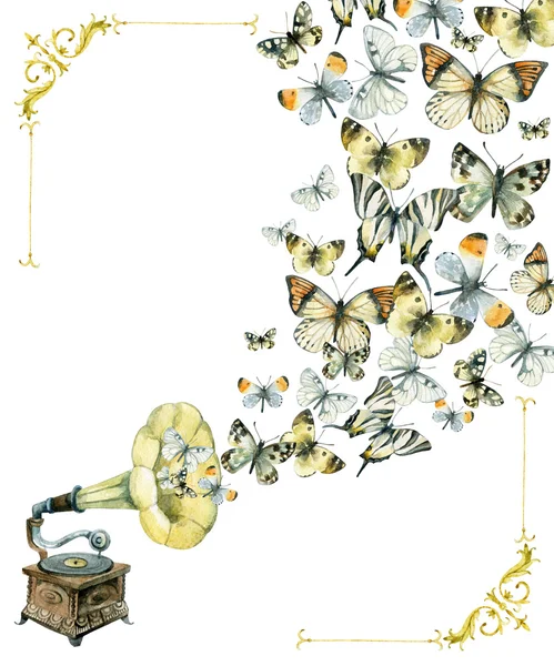 Vinyl gramophone and butterflies illustration — Stock Photo, Image