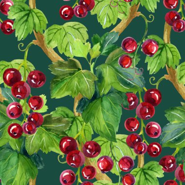 Suluboya kırmızı kuş üzümü seamless modeli