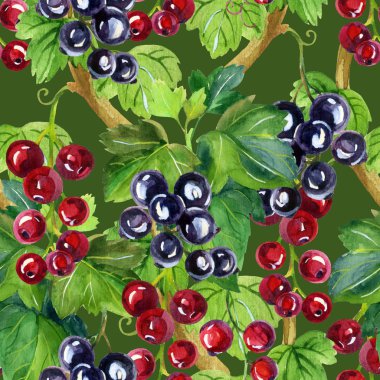 Suluboya kırmızı ve siyah kuş üzümü seamless modeli