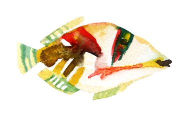 Exotic fish (tropical Picasso triggerfish). Watercolor clipart