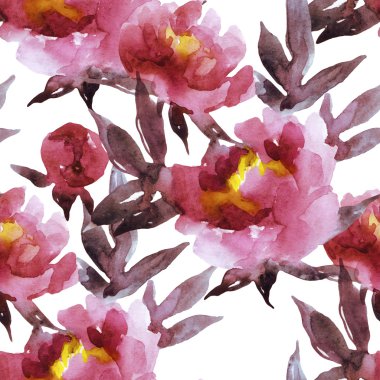 El suluboya peonies boyalı 