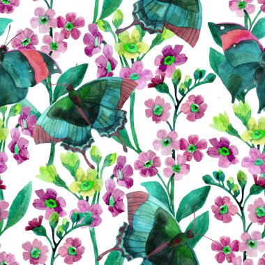 Unutma beni çiçekleri.