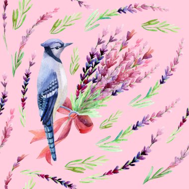 Mavi jay seamless modeli