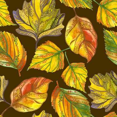 Suluboya sonbahar yaprak seti