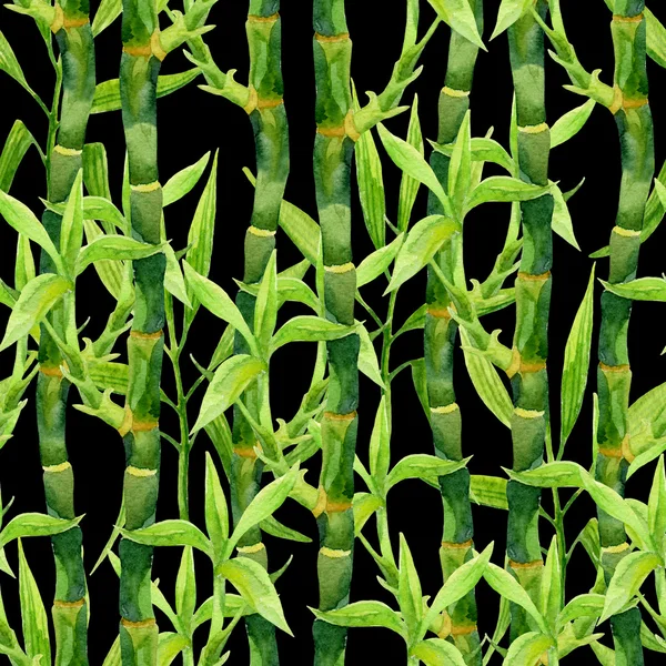 Bamboo watercolor seamless pattern — Stock Photo, Image