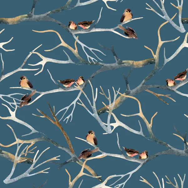 Akvarel ptáci na stromě větve — Stock fotografie