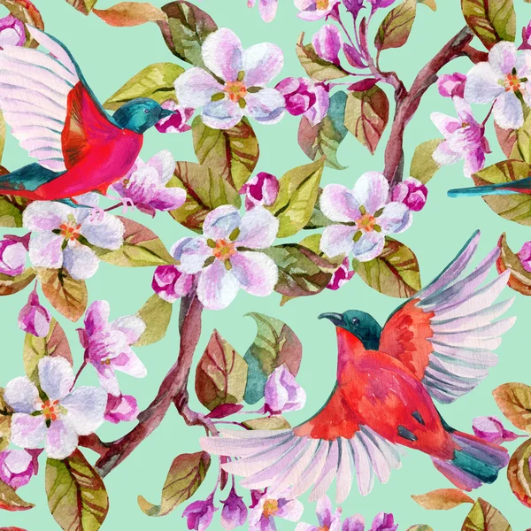 Apple blossom and flying birds. — Stock Photo, Image