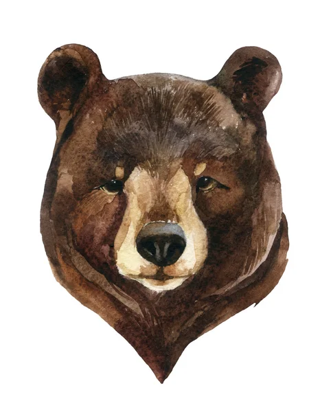 Ведмідь Голову Акварельний Ведмідь Малює Ілюстрацію Ізольовано Білому Тлі — стокове фото