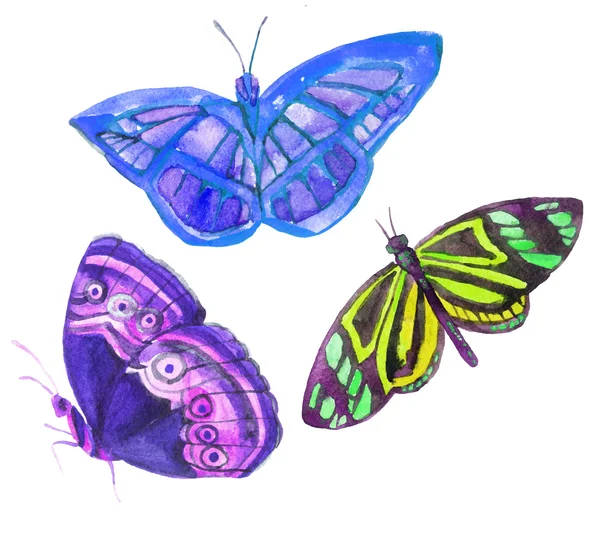白い背景に分離された水彩蝶セット — ストック写真