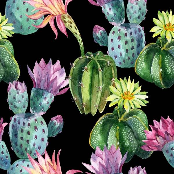 Modello di cactus senza cuciture ad acquerello — Foto Stock