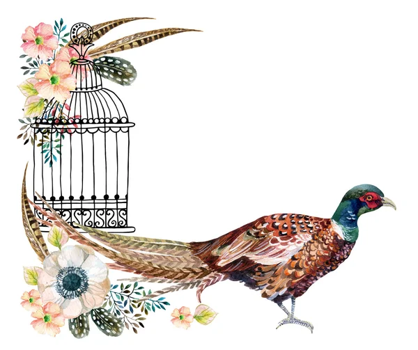 Watercolor pheasant card. — Stock Photo, Image