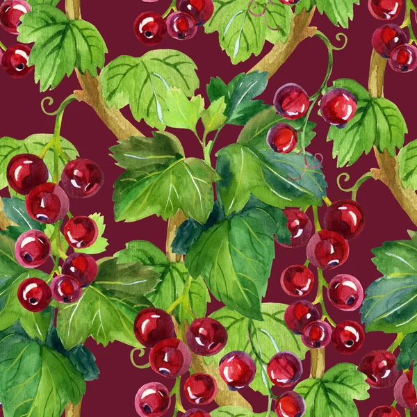Suluboya kırmızı kuş üzümü seamless modeli