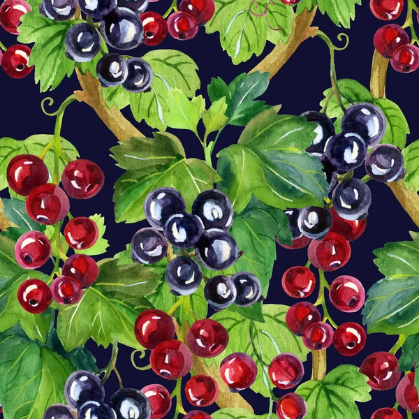 Suluboya kırmızı ve siyah kuş üzümü seamless modeli