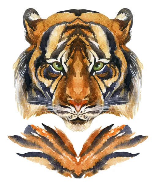 Tiger head isolated — Stock Photo, Image