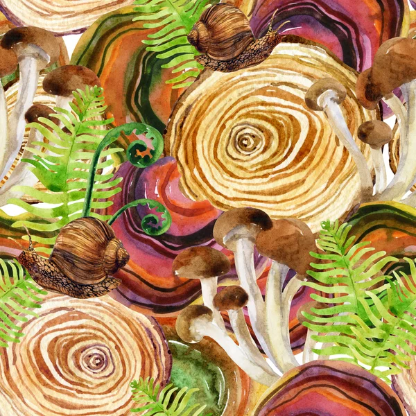 Лісовий фон. Лісовий пень, гриб, листя, лишайник і равлик — стокове фото