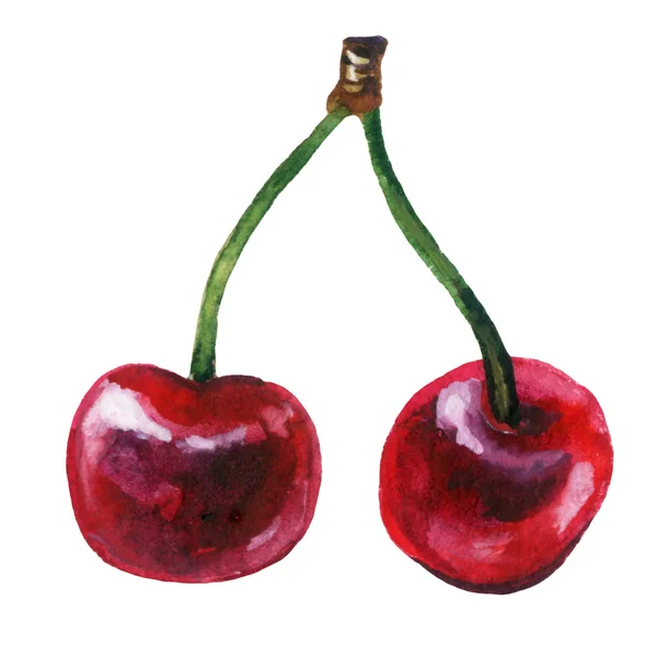 Cherry watercolor illustration — Stock Photo, Image