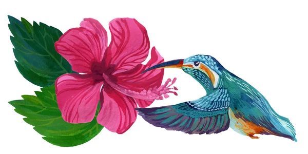 Hand painted hibiscus flower — Stock Photo, Image