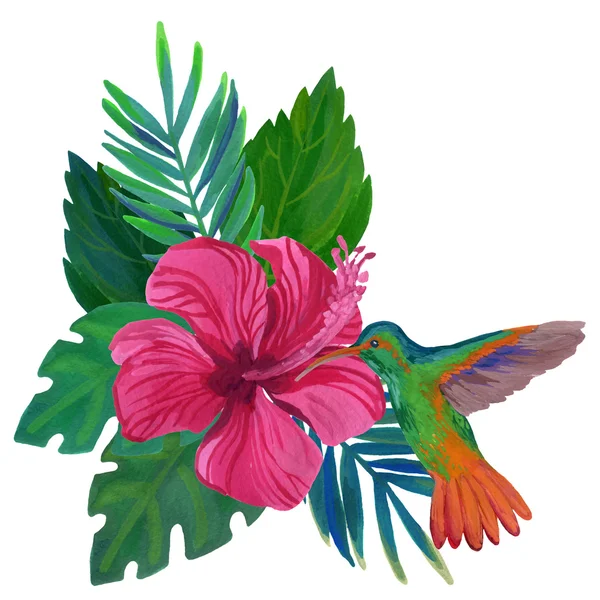 Акварель гудящая птица с экзотическими цветами и листьями — стоковое фото