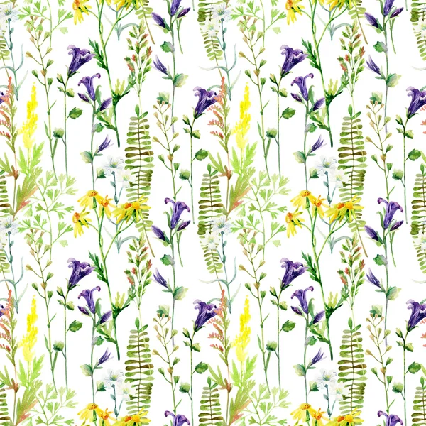 水彩草原の花のシームレス パターン — ストック写真
