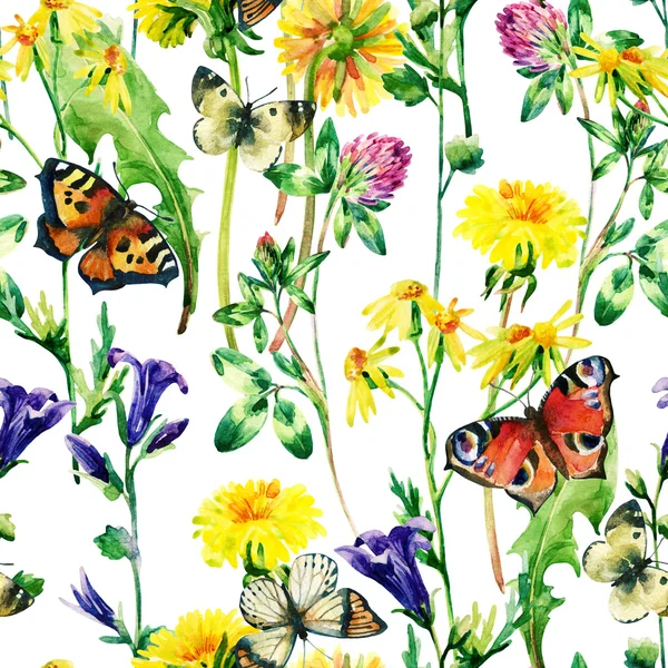 Ängen akvarell blommor och butterfly seamless mönster — Stockfoto